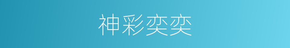 神彩奕奕的意思