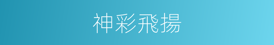 神彩飛揚的意思