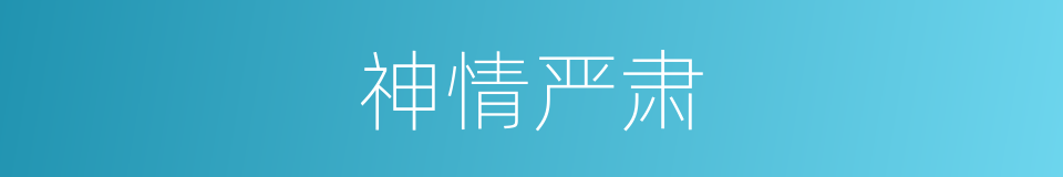 神情严肃的同义词