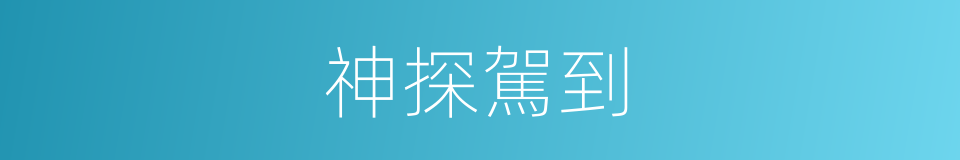 神探駕到的同義詞