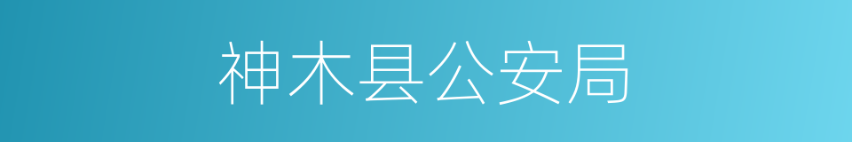 神木县公安局的同义词