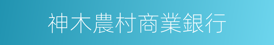 神木農村商業銀行的同義詞