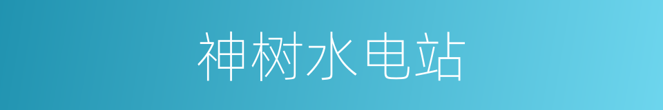 神树水电站的同义词