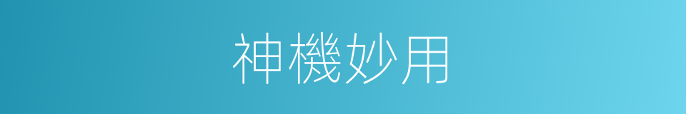 神機妙用的同義詞