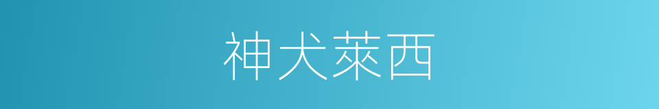 神犬萊西的同義詞