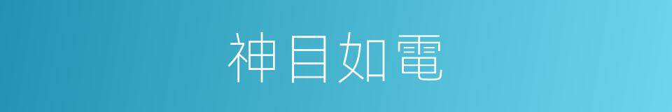神目如電的意思