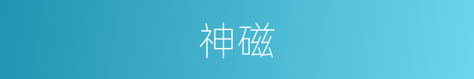 神磁的同义词