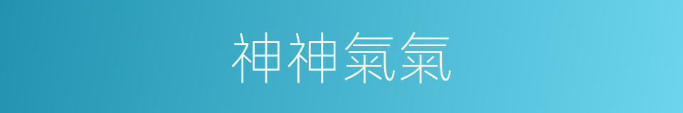 神神氣氣的意思