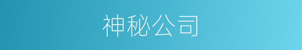 神秘公司的同义词