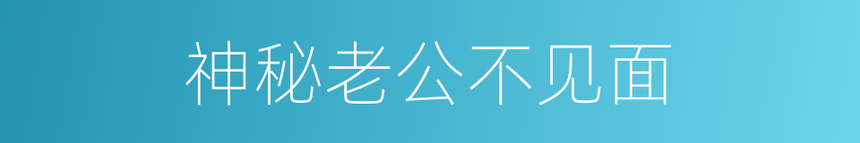 神秘老公不见面的同义词