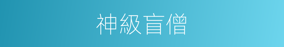 神級盲僧的同義詞