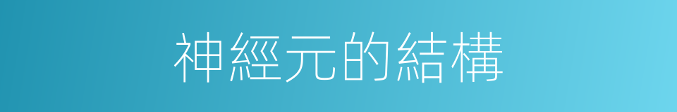 神經元的結構的同義詞