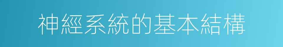 神經系統的基本結構的同義詞