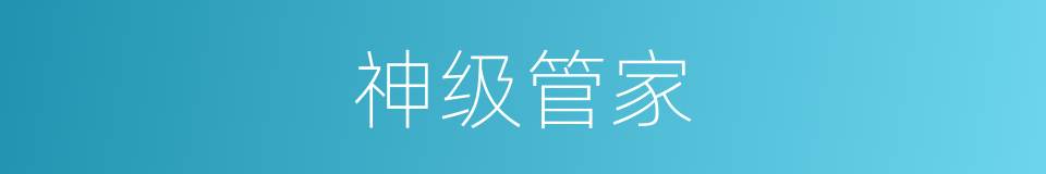 神级管家的同义词