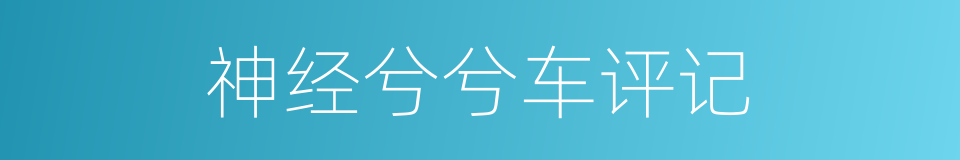 神经兮兮车评记的同义词