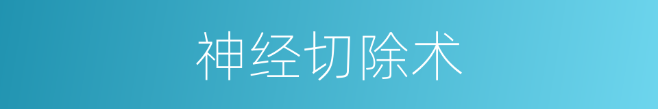 神经切除术的同义词