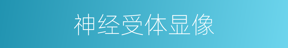 神经受体显像的同义词