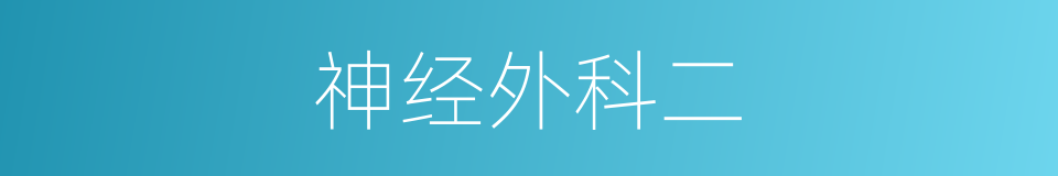 神经外科二的同义词