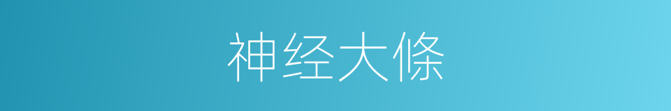 神经大條的同義詞