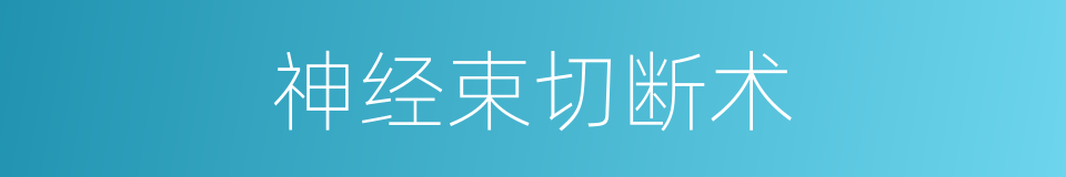 神经束切断术的同义词