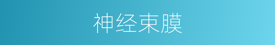 神经束膜的同义词