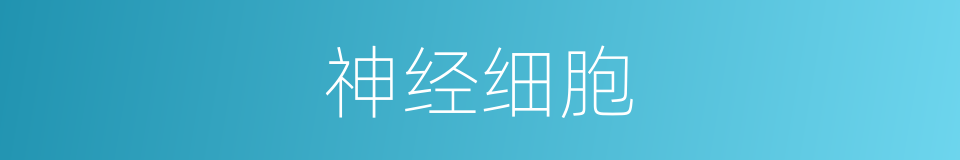 神经细胞的意思