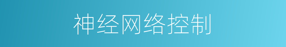 神经网络控制的同义词