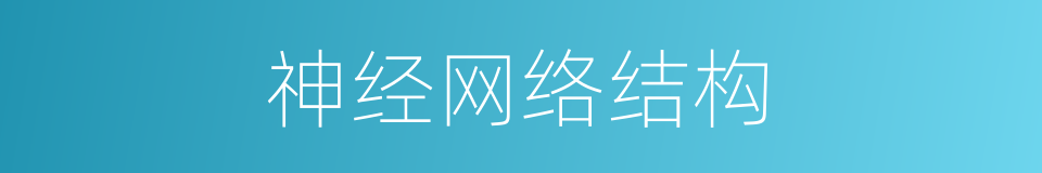 神经网络结构的同义词