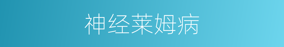 神经莱姆病的同义词