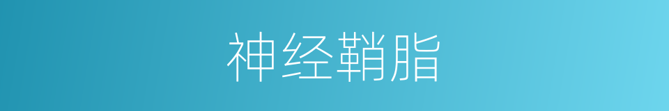 神经鞘脂的同义词