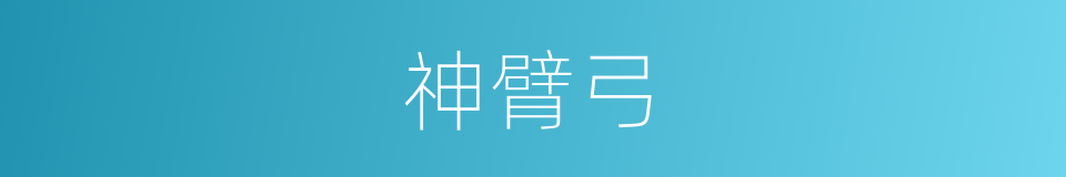 神臂弓的意思