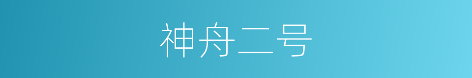 神舟二号的同义词