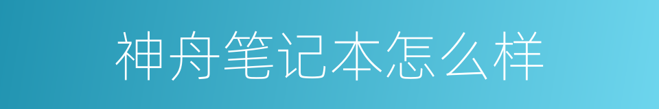 神舟笔记本怎么样的同义词