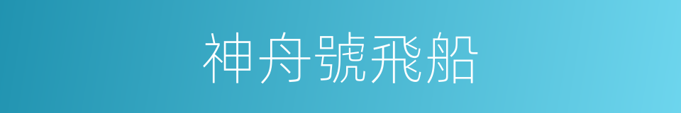 神舟號飛船的同義詞