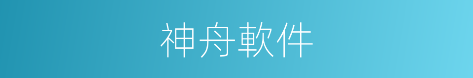 神舟軟件的同義詞