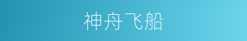 神舟飞船的同义词