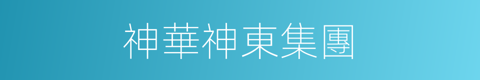 神華神東集團的同義詞