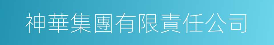 神華集團有限責任公司的同義詞