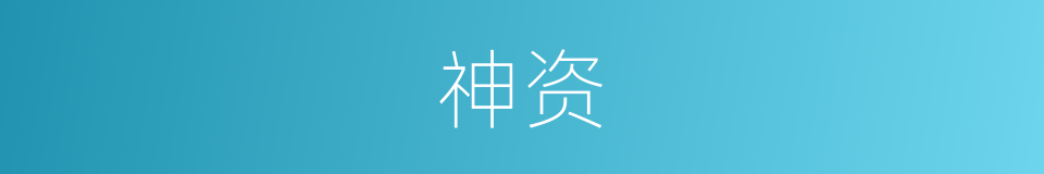 神资的意思