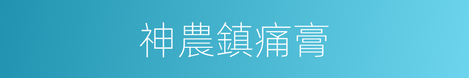 神農鎮痛膏的同義詞