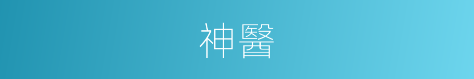 神醫的意思