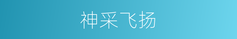 神采飞扬的意思