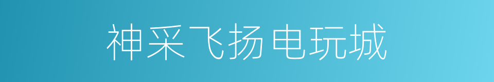 神采飞扬电玩城的同义词