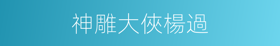 神雕大俠楊過的同義詞