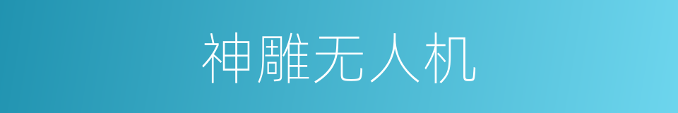 神雕无人机的同义词