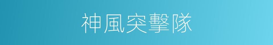 神風突擊隊的同義詞