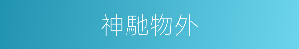 神馳物外的同義詞