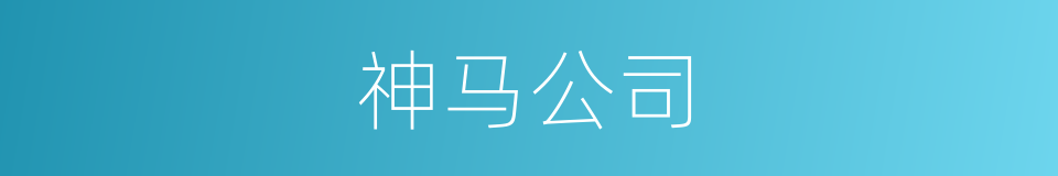 神马公司的同义词