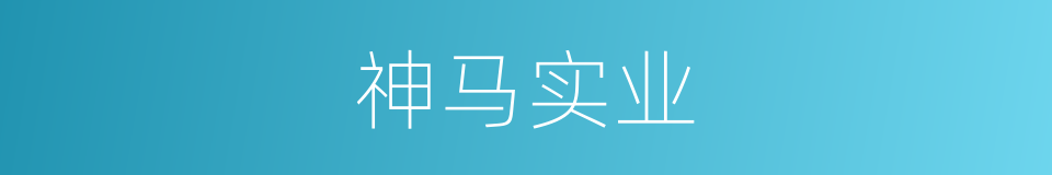 神马实业的同义词