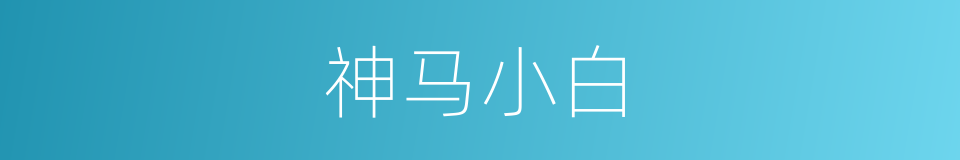 神马小白的同义词